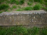 image of grave number 19721